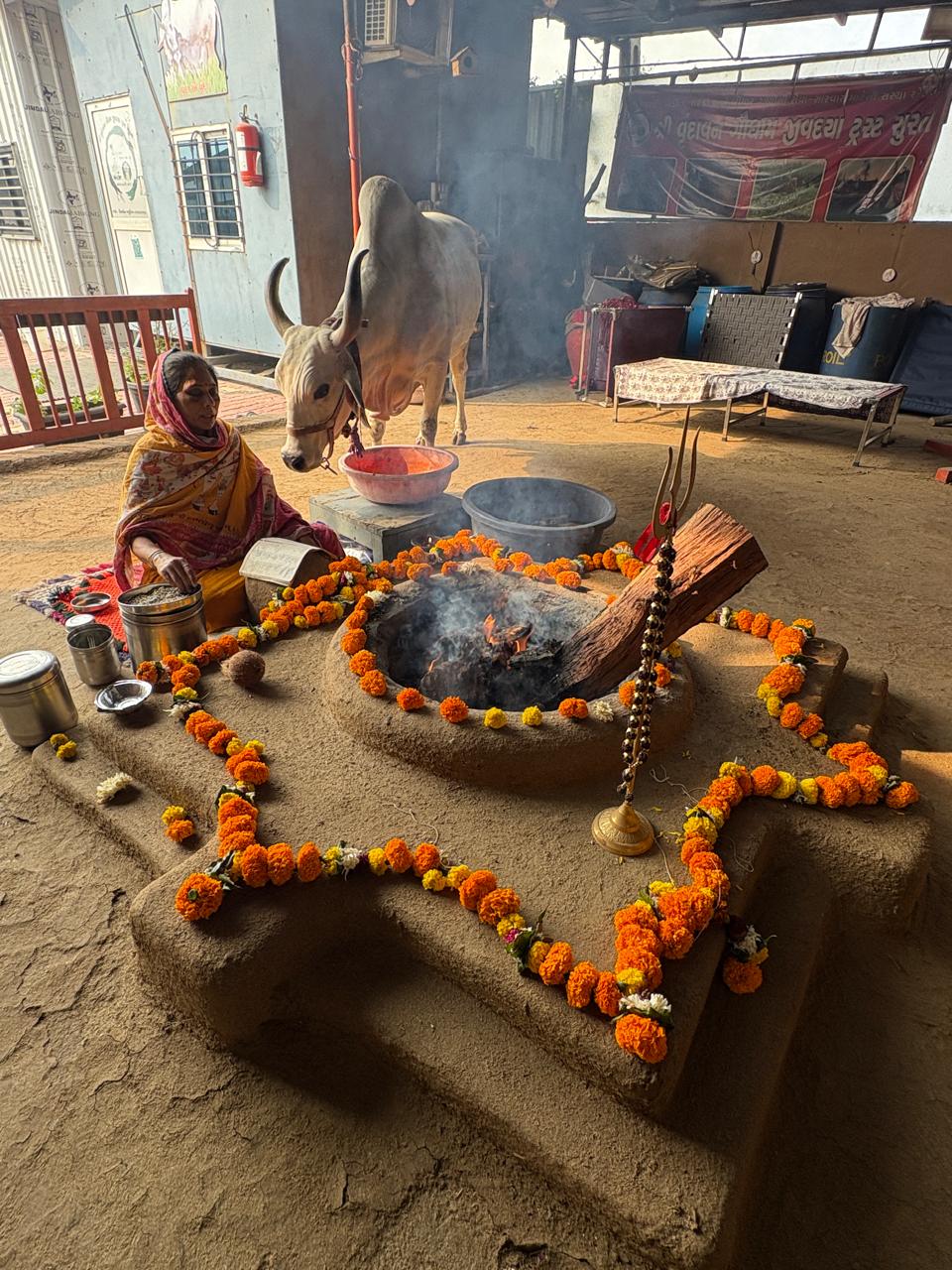 Gauvansh Seva 10